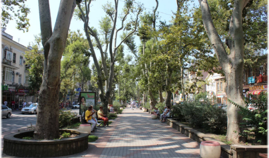 Платановая аллея в Туапсе