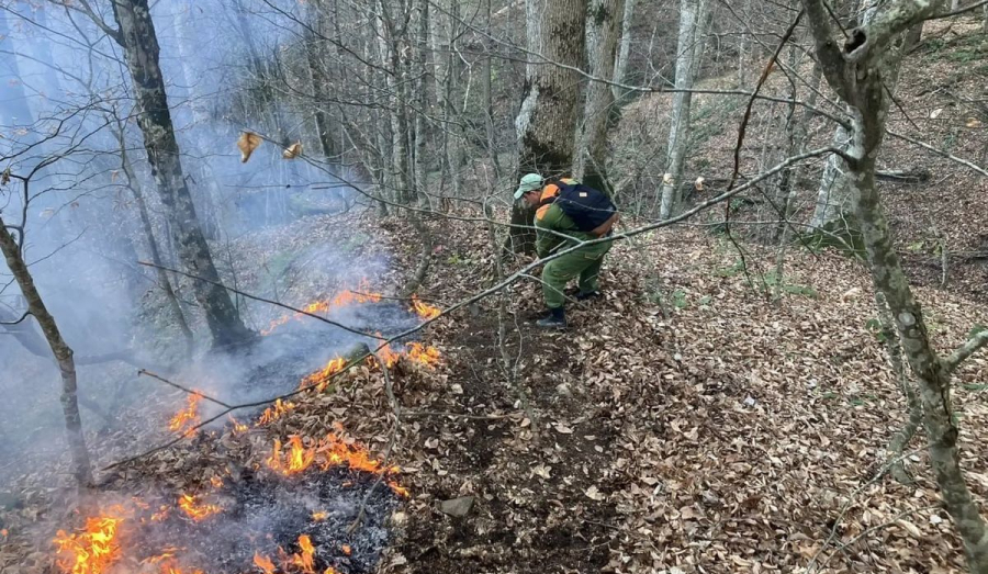 Лесной пожар в Туапсинском районе локализован на площади 3 гектара