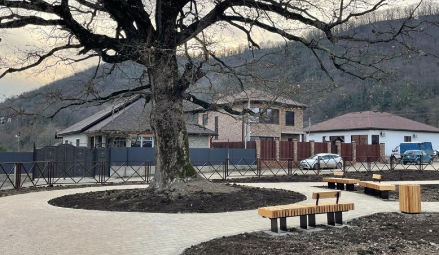 У Дуба-великана в Агуй-Шапсуге появился новый сквер для туристов и жителей