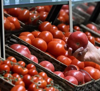В морском порту Туапсе была забракована крупная партия томатов из Турции. 