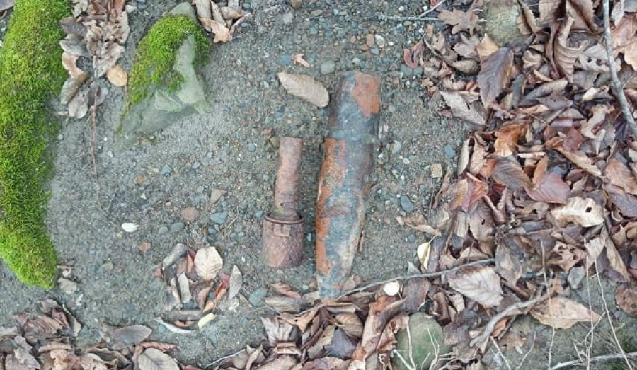 Эхо прошедшей войны: в лесу под Туапсе обезвредили снаряд и гранату 1940-х годов